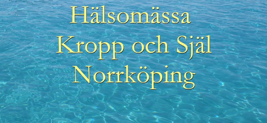 Hälsomässa i Norrköping